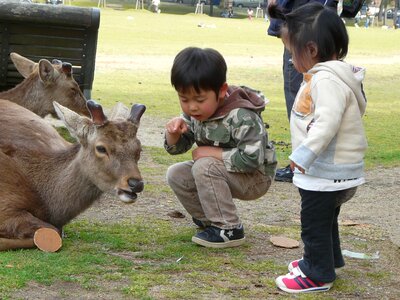 Children power deer
