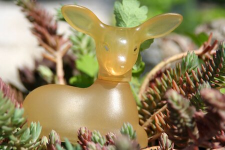 Bottle roe deer glass
