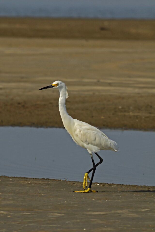 Southern nature wild