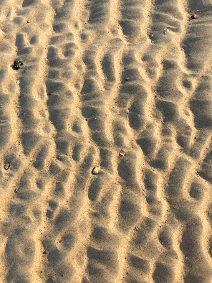 Beach sand tracks in the sand