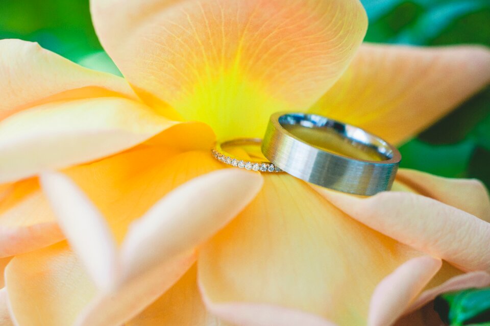 Wedding wedding rings