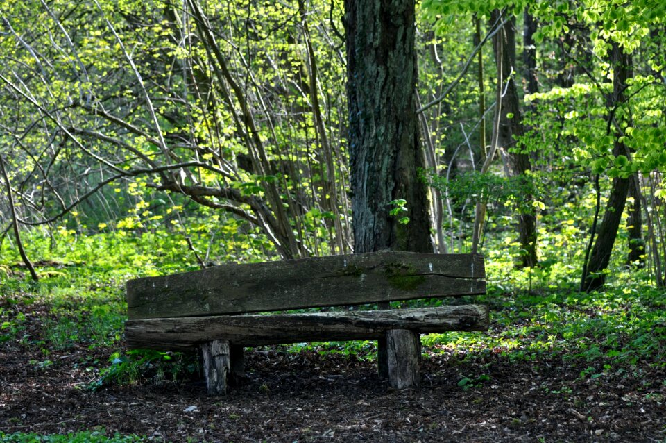 Resting place silent bank seat