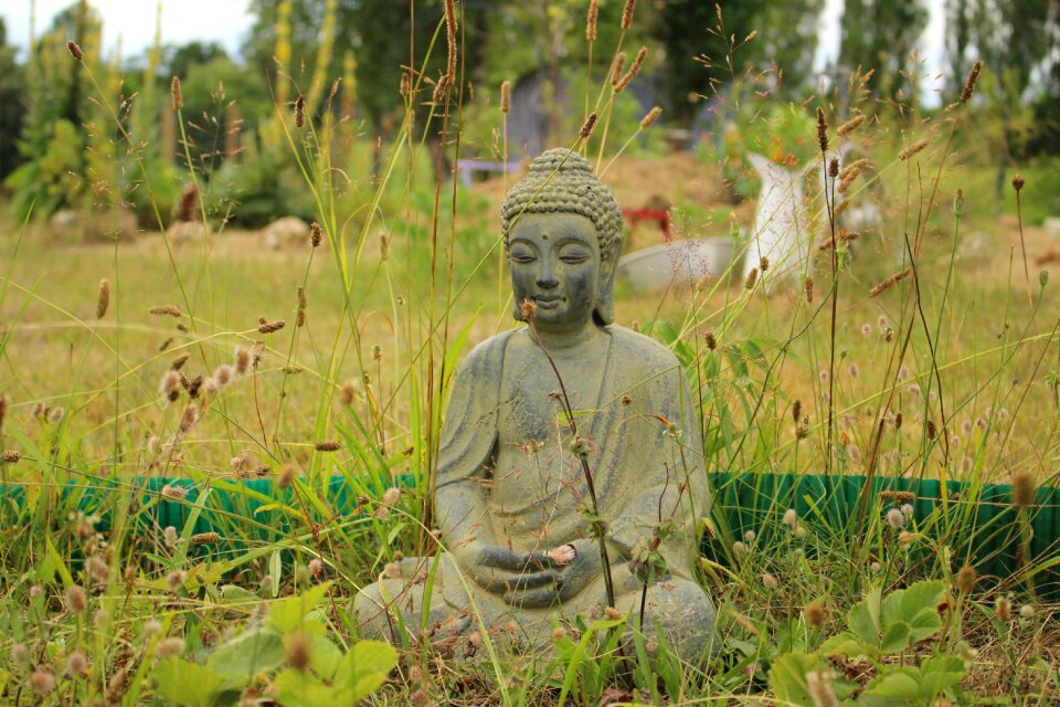 Garden believe meditation