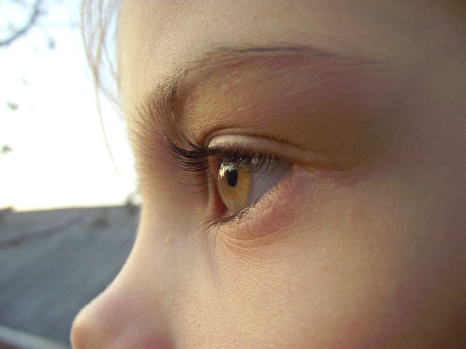 Facial young eyelash