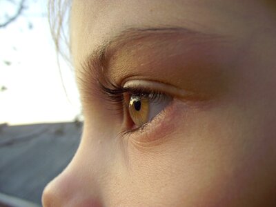 Facial young eyelash