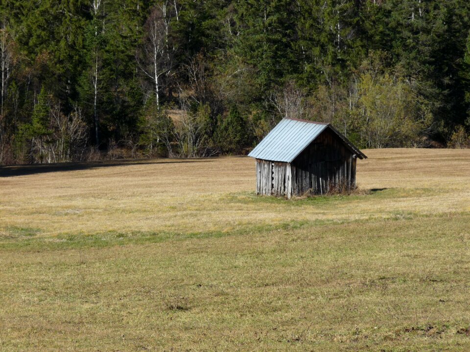 Nature wetland log cabin