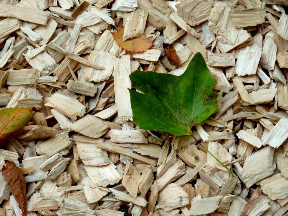 Leaves wood chopping background