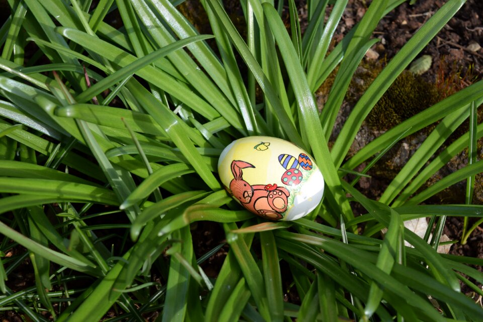 Egg easter egg colorful