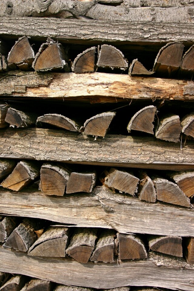 Firewood growing stock stacked up