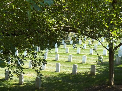 Veterans cemetery military photo