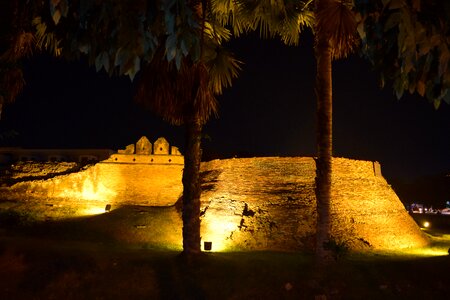 City wall night photograph palm trees