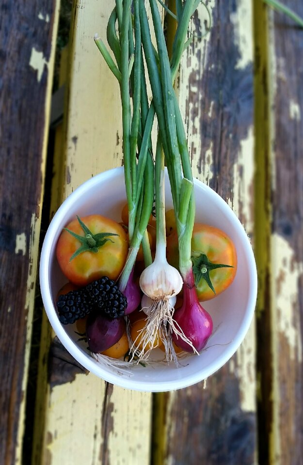 Garden nutritious