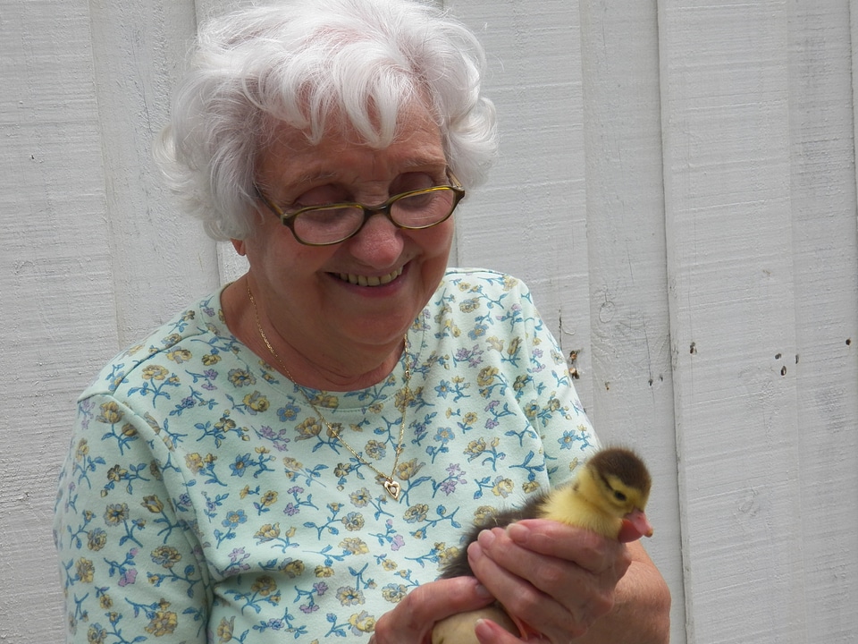 Duck little duck happy