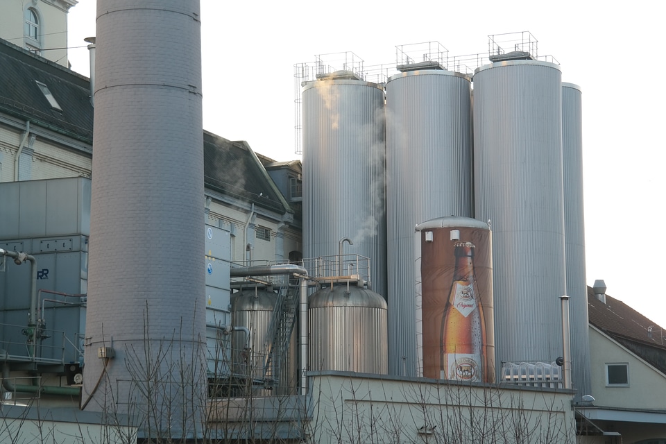 Brewery gold ox ulm ox gold