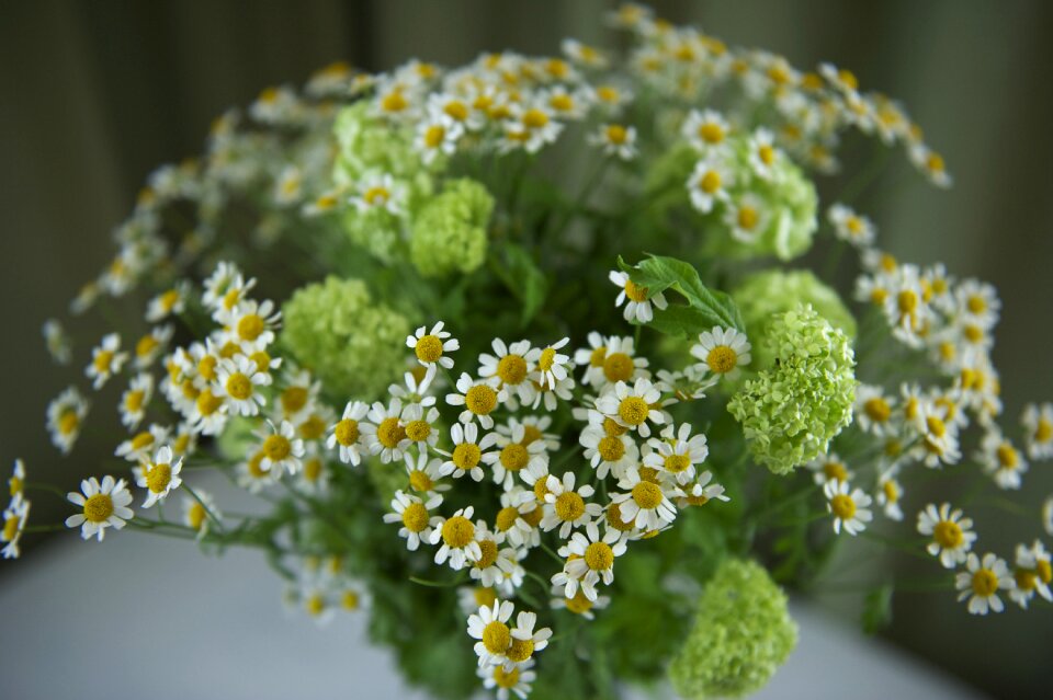 Green white bouquet