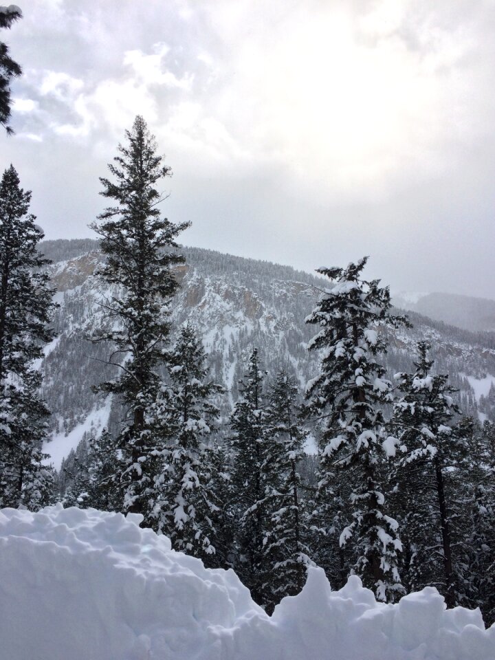 Landscape rocky mountain