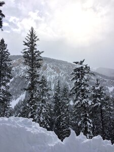 Landscape rocky mountain