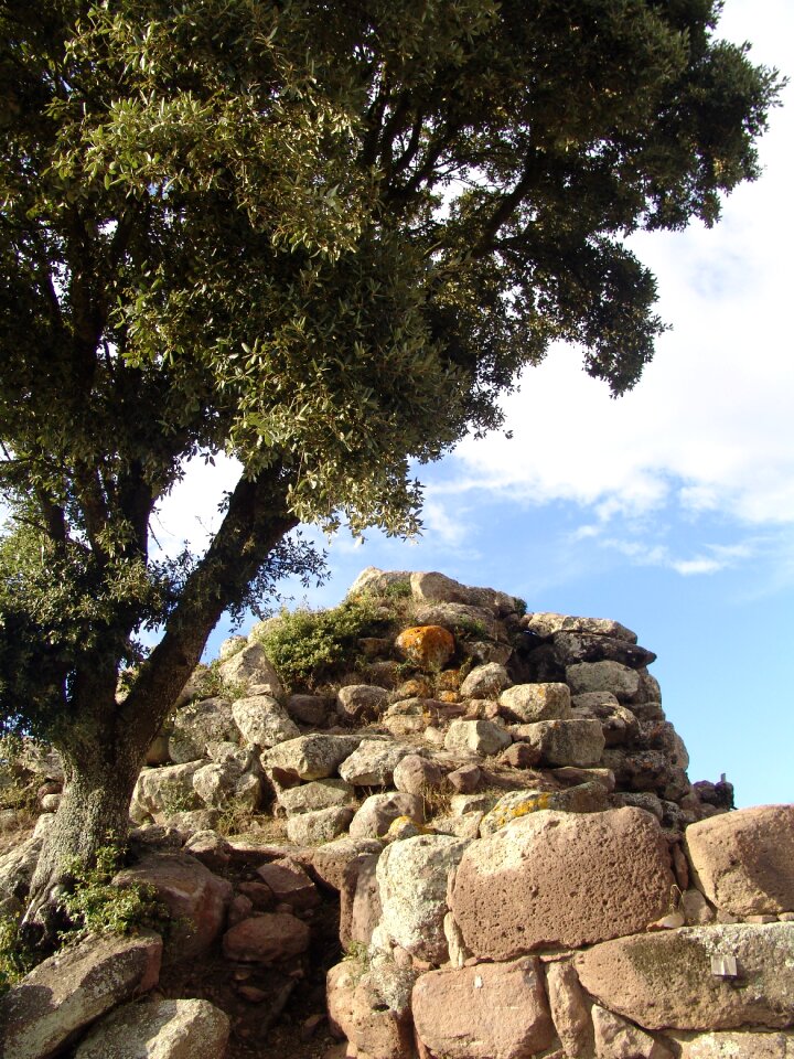 Historically tower native american
