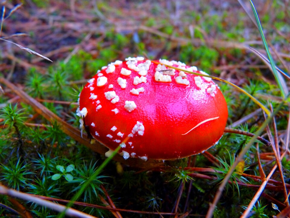 Mood autumn nature