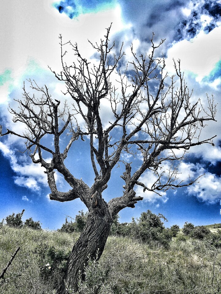 Nature dramatic sky
