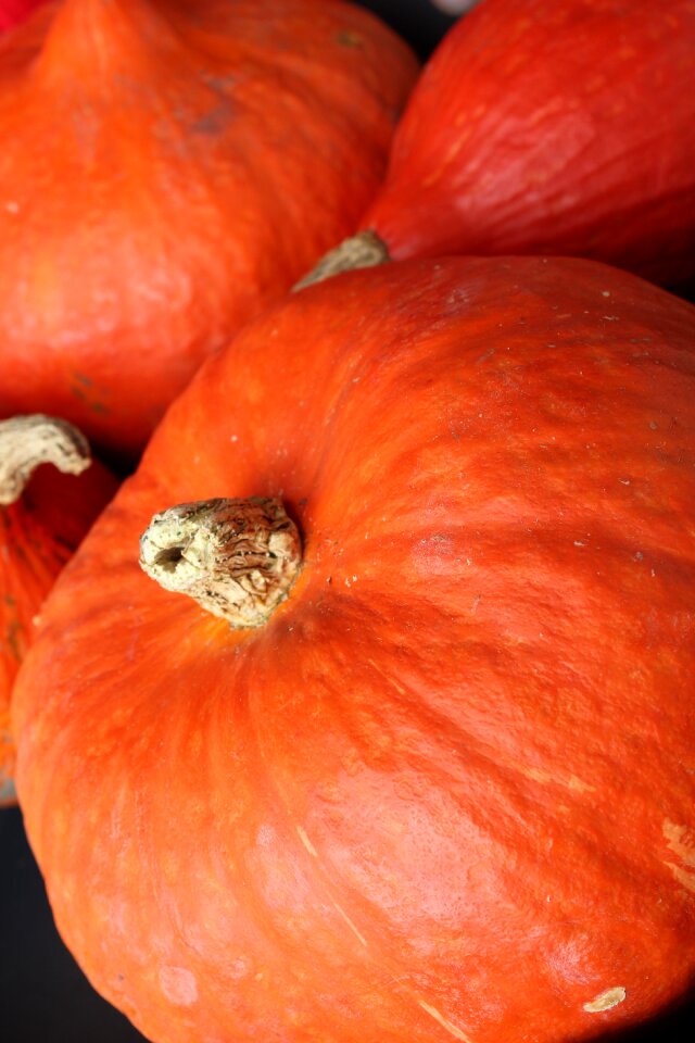 Pumpkin autumn halloween