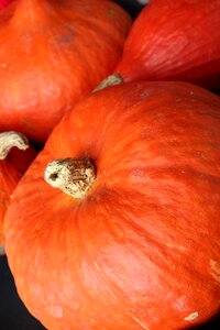 Pumpkin autumn halloween photo