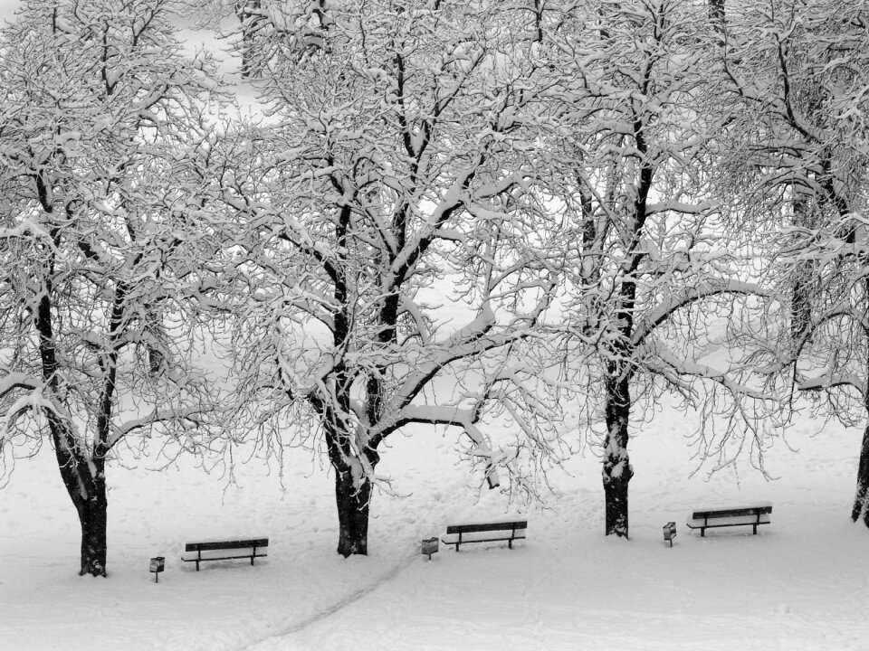 Winter cold season