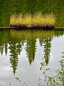 Water nature lake