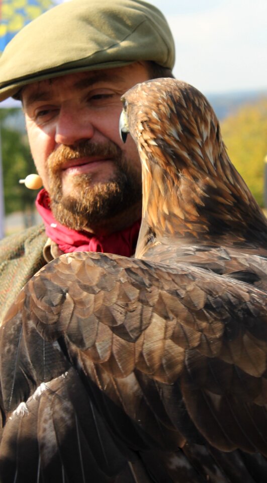 Eagle man predator