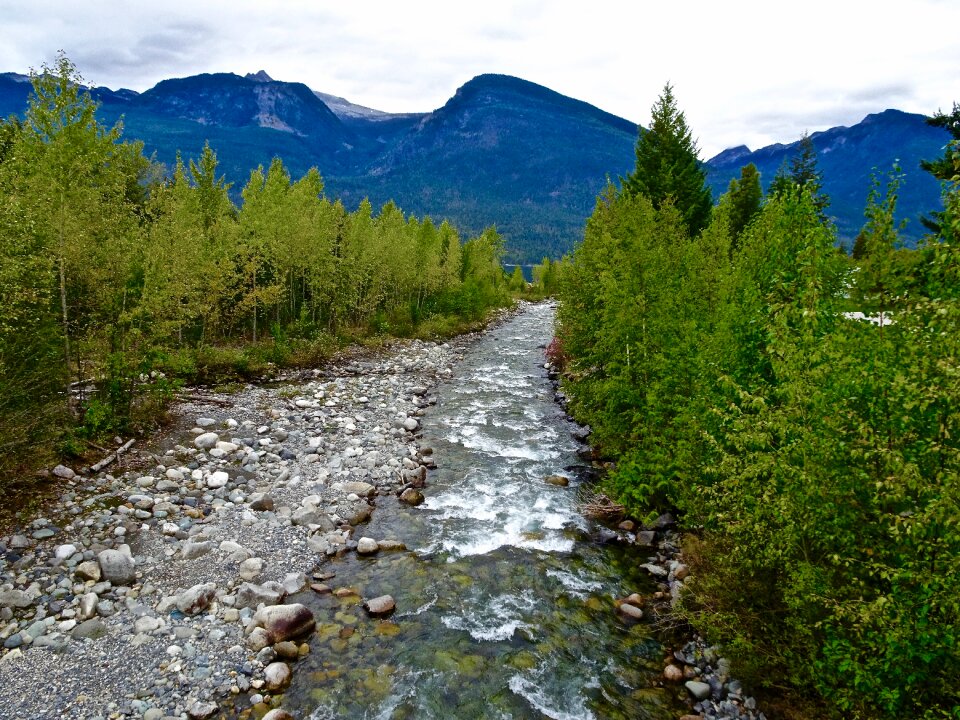 Scenery tranquil flowing