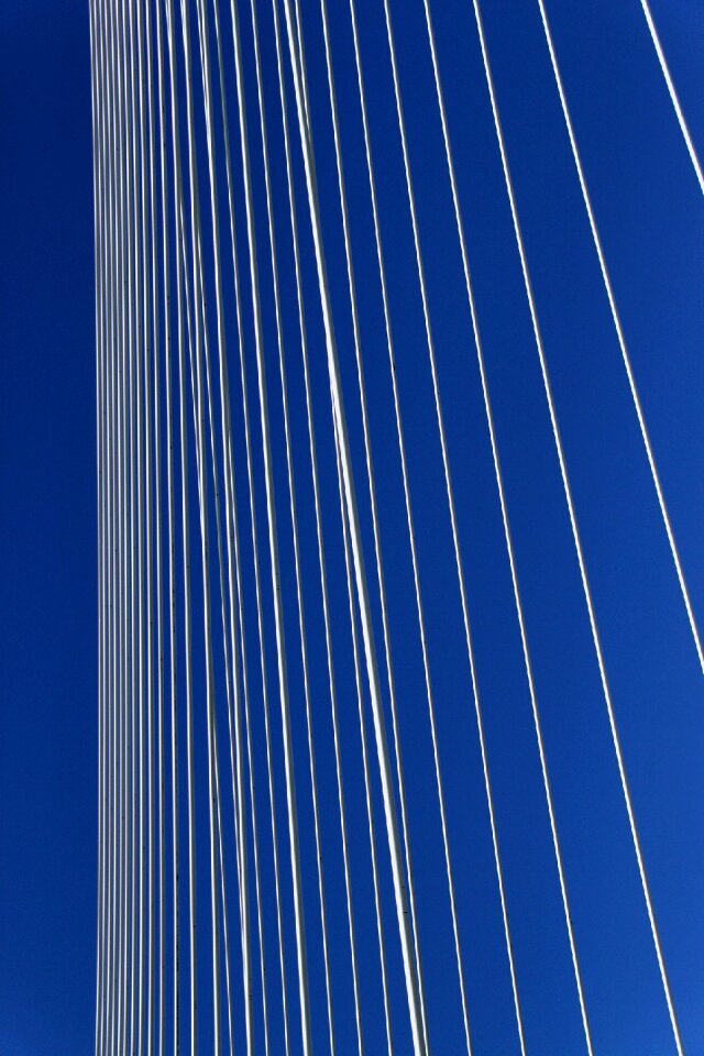 Rotterdam swan cable stayed bridge