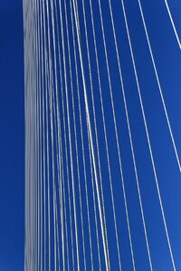 Rotterdam swan cable stayed bridge photo