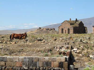 Ruins countryside horses
