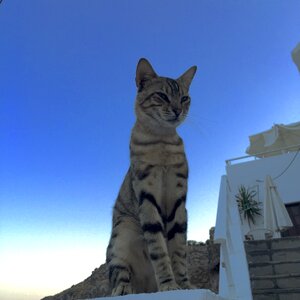 Cyclades mediterranean holiday