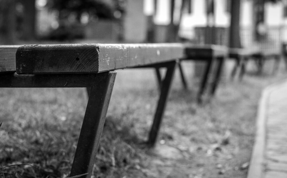 Park texture details