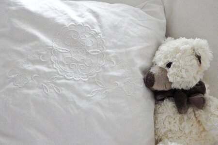 White vintage bear