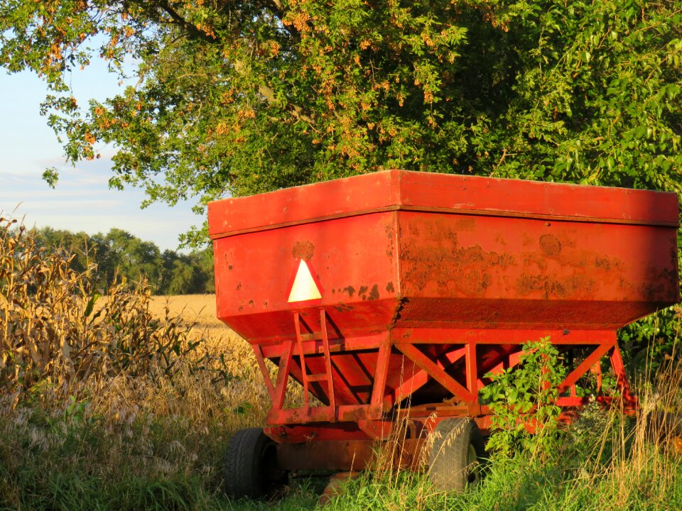 Autumn beans wheat