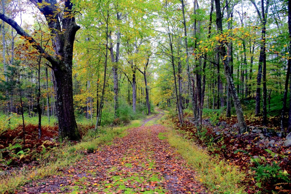 Fall nature hiking