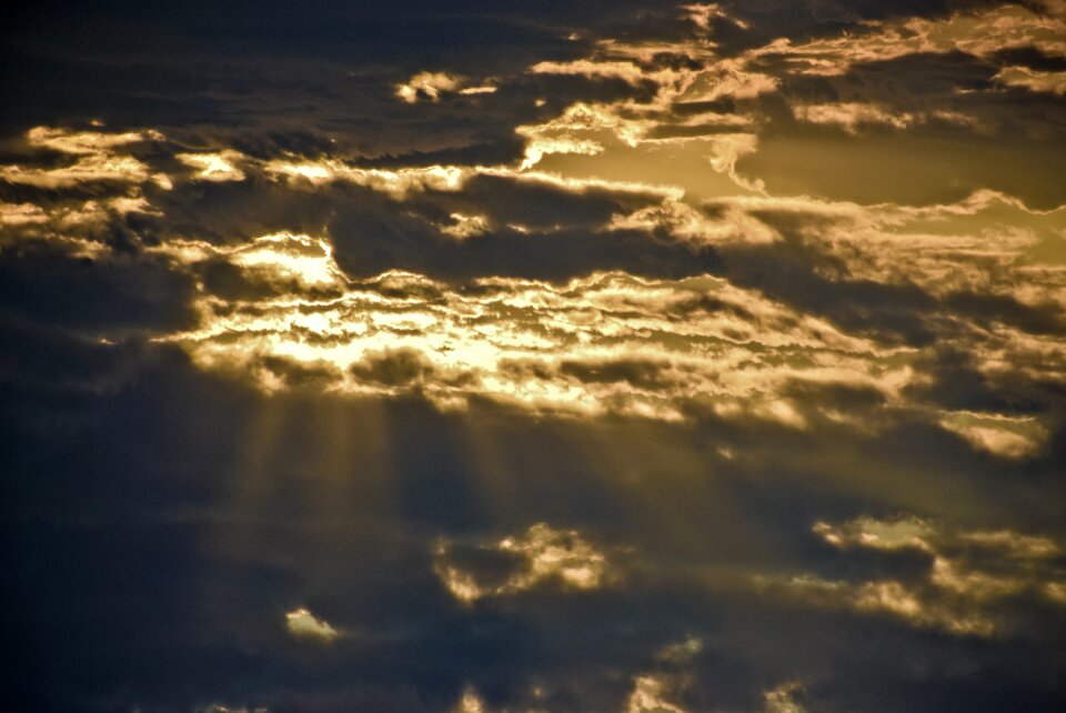 Amber light sunlight