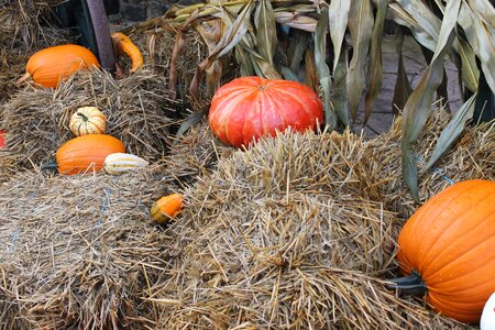 Straw autumn decoration creepy