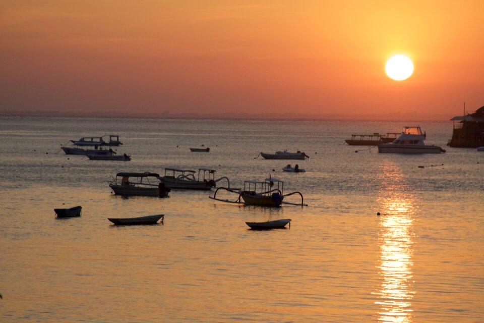 Paradise peace