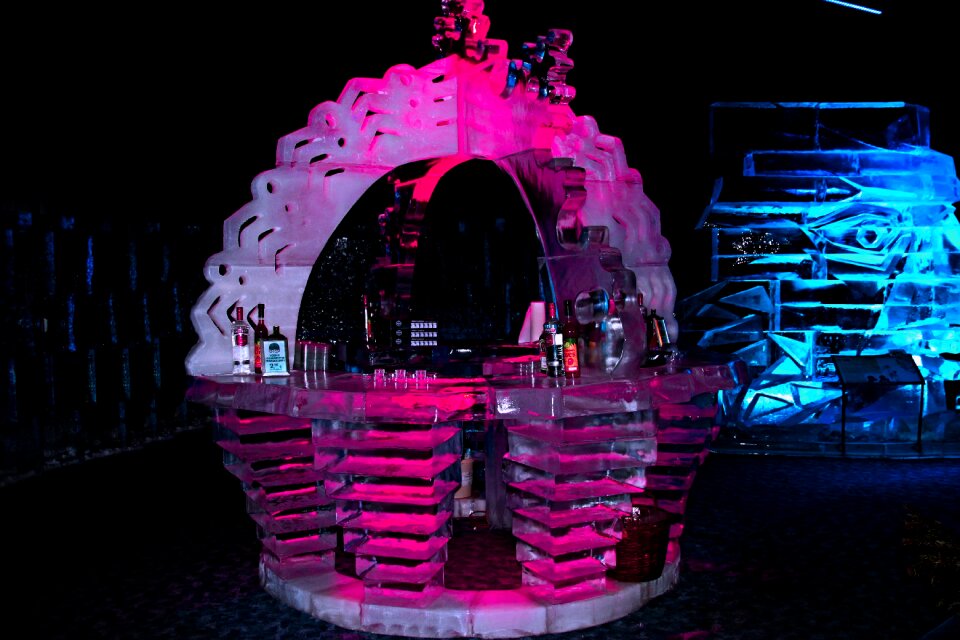 Art ice worlds eisbar