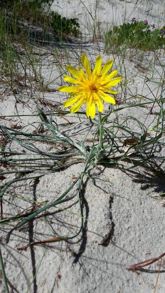 Sand white sand summer