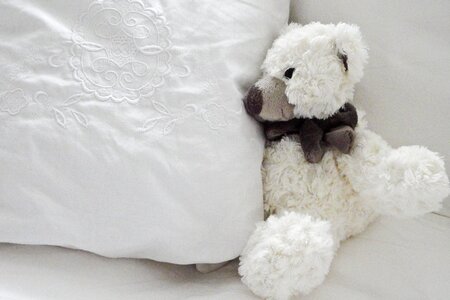 White vintage bear