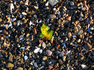 Beach stones nature