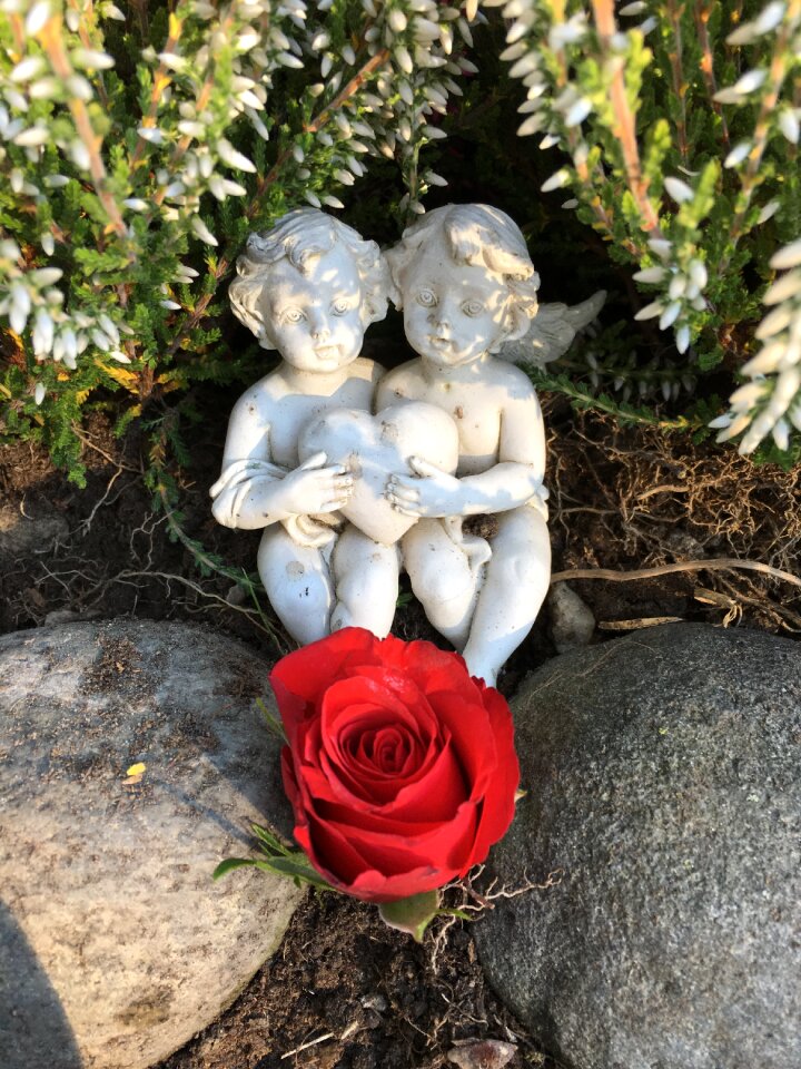 Red memories together