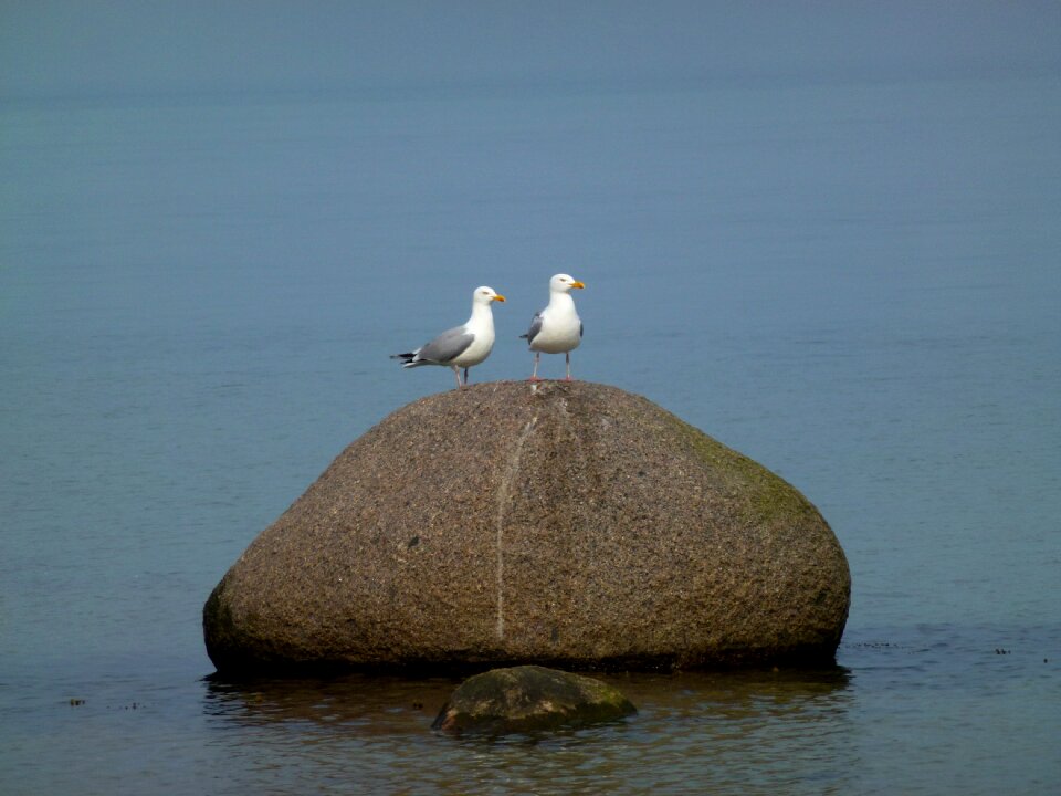 Baltic sea coast water