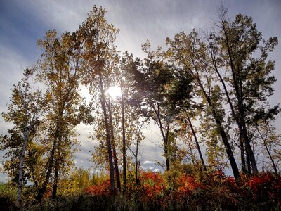 Light outdoor fall