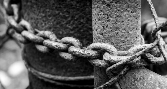 Closed gate black and white