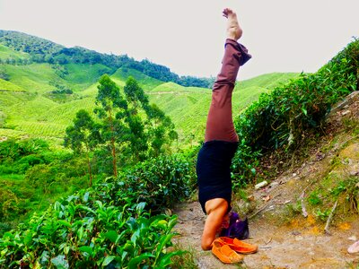 Headstand green yoga